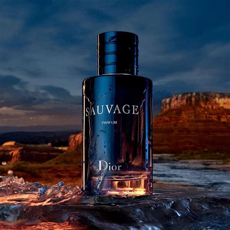 dior men sauvave|sauvage cheapest price.